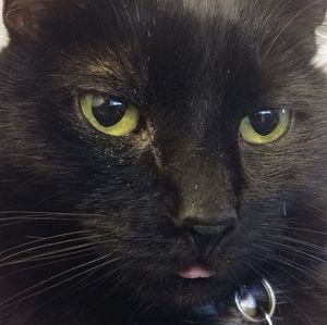 Meet your Posher, Kaycee